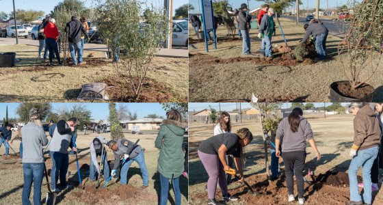 KMB and Diamond back