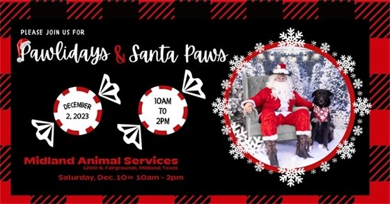 Santa Claus & puppy in Santa hat